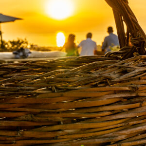 Degustazione Pic-Nic